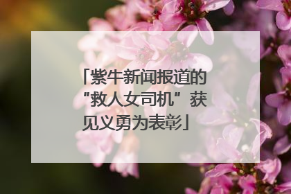 紫牛新闻报道的“救人女司机”获见义勇为表彰