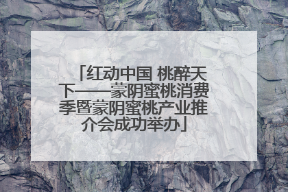 红动中国 桃醉天下——蒙阴蜜桃消费季暨蒙阴蜜桃产业推介会成功举办