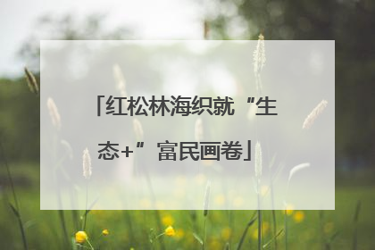 红松林海织就“生态+”富民画卷