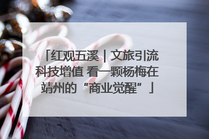 红观五溪｜文旅引流 科技增值 看一颗杨梅在靖州的“商业觉醒”