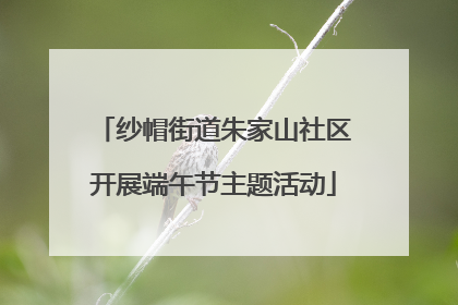 纱帽街道朱家山社区开展端午节主题活动