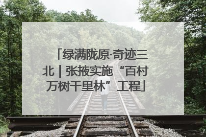 绿满陇原·奇迹三北｜张掖实施“百村万树千里林”工程
