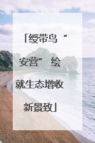 绶带鸟“安营” 绘就生态增收新景致