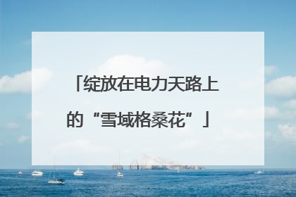 绽放在电力天路上的“雪域格桑花”