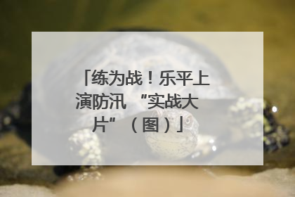 练为战！乐平上演防汛 “实战大片”（图）