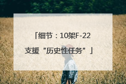 细节：10架F-22支援“历史性任务”