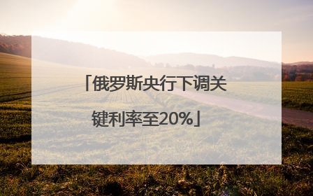 俄罗斯央行下调关键利率至20%