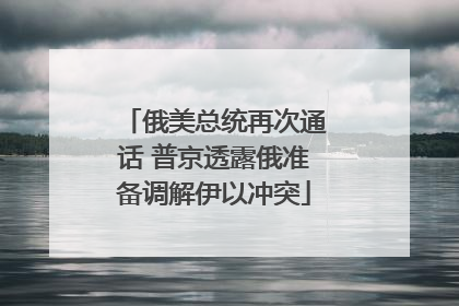 俄美总统再次通话 普京透露俄准备调解伊以冲突