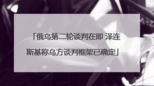 俄乌第二轮谈判在即 泽连斯基称乌方谈判框架已确定