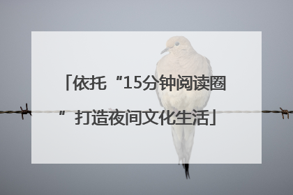 依托“15分钟阅读圈”打造夜间文化生活
