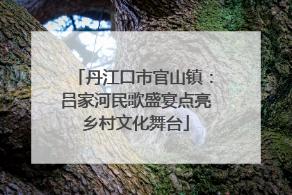 丹江口市官山镇：吕家河民歌盛宴点亮乡村文化舞台