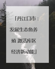 丹江口市：发展生态鱼养殖 激活库区经济新动能