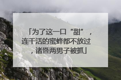 为了这一口“甜”，连干活的蜜蜂都不放过，诸暨两男子被抓