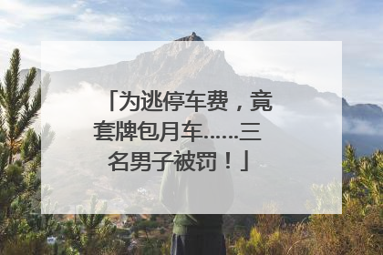 为逃停车费，竟套牌包月车……三名男子被罚！
