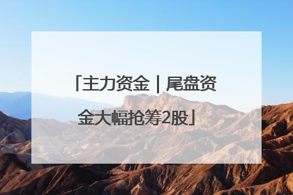 主力资金｜尾盘资金大幅抢筹2股