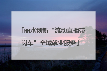 丽水创新“流动直播带岗车”全域就业服务