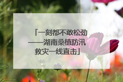 一刻都不敢松劲——湖南桑植防汛救灾一线直击