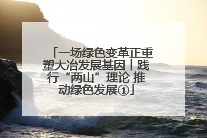 一场绿色变革正重塑大冶发展基因丨践行“两山”理论 推动绿色发展①