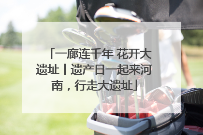 一廊连千年 花开大遗址丨遗产日一起来河南，行走大遗址