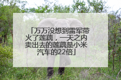 万万没想到雷军带火了莲藕，一天之内卖出去的莲藕是小米汽车的22倍