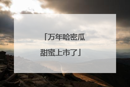 万年哈密瓜甜蜜上市了