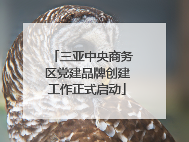 三亚中央商务区党建品牌创建工作正式启动