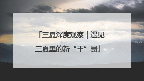 三夏深度观察｜遇见三夏里的新“丰”景