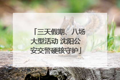 三天假期、八场大型活动 沈阳公安交警硬核守护