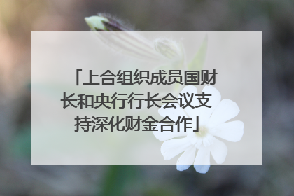 上合组织成员国财长和央行行长会议支持深化财金合作