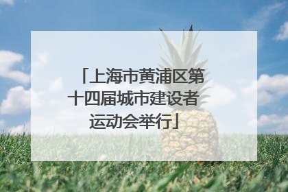 上海市黄浦区第十四届城市建设者运动会举行