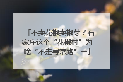 不卖花椒卖椒芽？石家庄这个“花椒村”为啥“不走寻常路”→