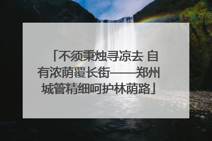 不须秉烛寻凉去 自有浓荫覆长街——郑州城管精细呵护林荫路