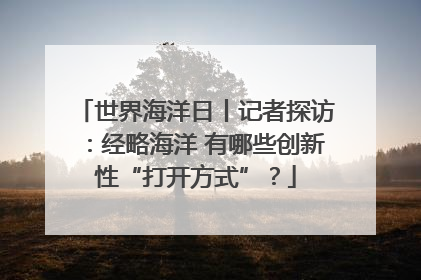 世界海洋日丨记者探访：经略海洋 有哪些创新性“打开方式”？
