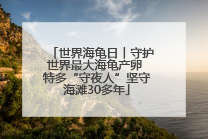 世界海龟日丨守护世界最大海龟产卵 特多“守夜人”坚守海滩30多年
