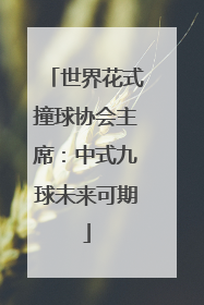 世界花式撞球协会主席：中式九球未来可期