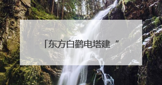 东方白鹳电塔建“产房” “陕电入皖”架线延工期
