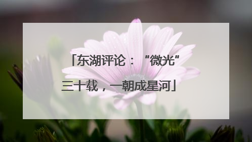 东湖评论：“微光”三十载，一朝成星河