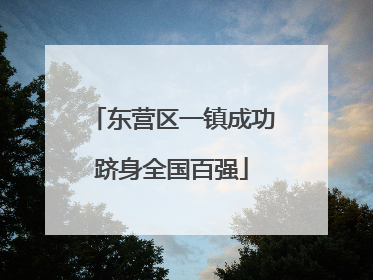 东营区一镇成功跻身全国百强