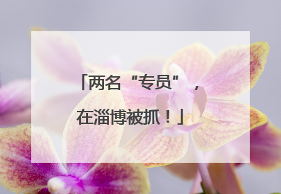 两名“专员”，在淄博被抓！