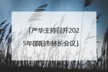 严华主持召开2025年邵阳市林长会议