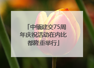 中缅建交75周年庆祝活动在内比都隆重举行