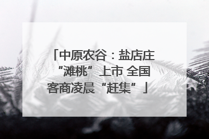 中原农谷：盐店庄“滩桃”上市 全国客商凌晨“赶集”