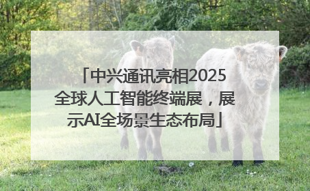 中兴通讯亮相2025全球人工智能终端展，展示AI全场景生态布局