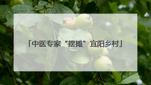 中医专家“摆摊”宜阳乡村