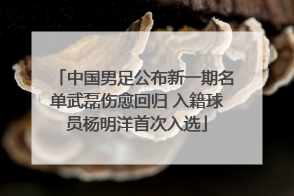 中国男足公布新一期名单武磊伤愈回归 入籍球员杨明洋首次入选