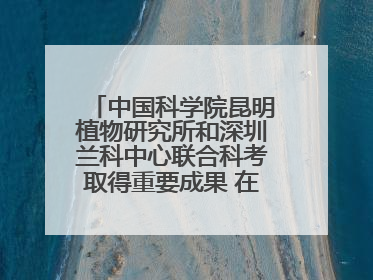 中国科学院昆明植物研究所和深圳兰科中心联合科考取得重要成果 在神农架发现两种“国保”级兰花