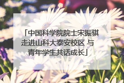 中国科学院院士宋振骐走进山科大泰安校区 与青年学生共话成长