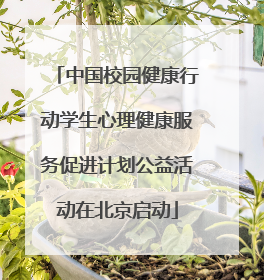 中国校园健康行动学生心理健康服务促进计划公益活动在北京启动