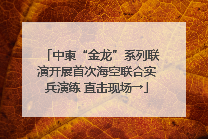 中柬“金龙”系列联演开展首次海空联合实兵演练 直击现场→