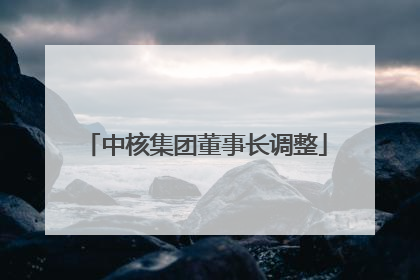 中核集团董事长调整